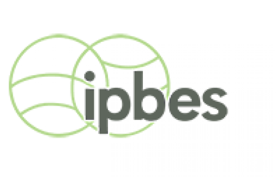 IPBES